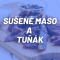 Sušené maso, tuňák