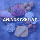 AMINOKYSELINY