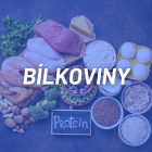 BÍLKOVINY