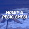 Mouky, pečící směsi