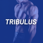 TRIBULUS TERRESTRIS